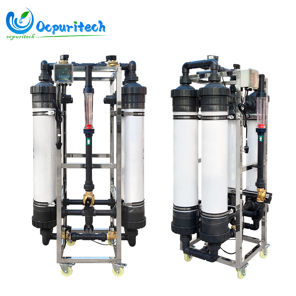 Dual-Pipe Fully Automatic Water Filtration Controller
