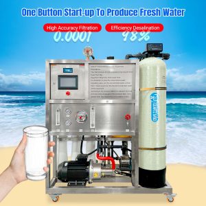 500LPH Seawater Desalination Salt Sea Water Treatment Plant